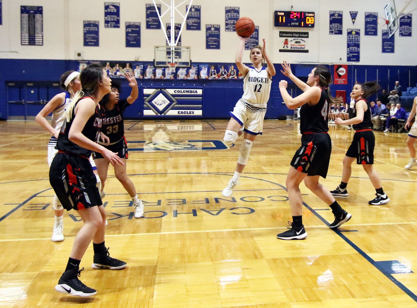 Freeburg 36, Chester 29